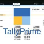 TallyPrime