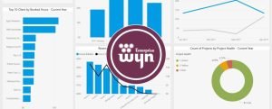 Wyn Enterprise