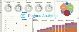 IBM Cognos Analytics