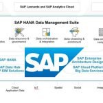 SAP Data Management