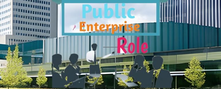 Public Enterprises