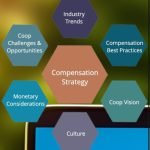 Strategic Compensation