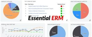 Essential ERM