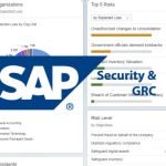 SAP Risk Management