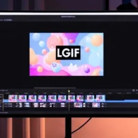 Top 5 GIF creators