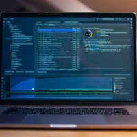 Software for e-governance