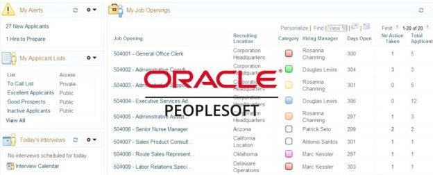 QUE ES ORACLE PEOPLESOFT visual data 3