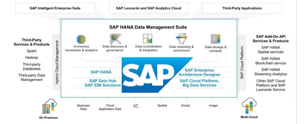 SAP Data Management Empowering Organizations with Effective Data Governance and Integration